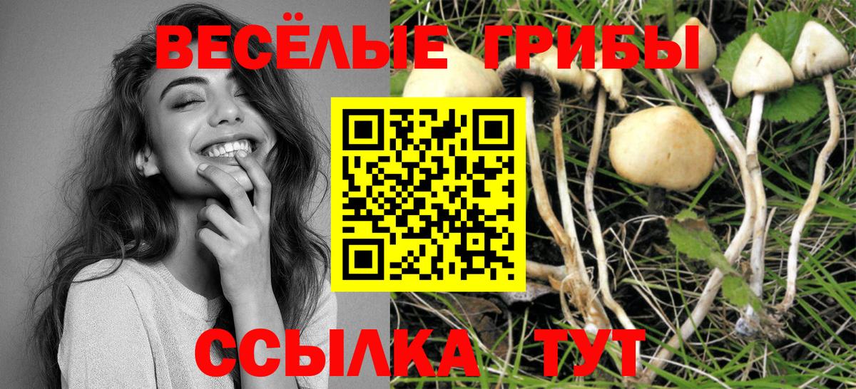 Новоалександровск  закладка  Вход с VPN  Галлюциногенные грибы GOLDEN TEACHER 