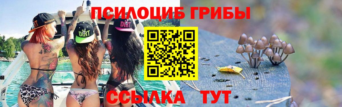 Галлюциногенные грибы GOLDEN TEACHER Новоалександровск